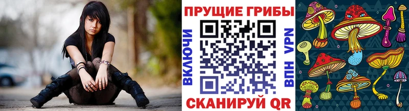 omg сайт Мегион Псилоцибиновые грибы Cubensis где можно купить